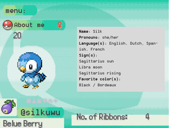 Introduction / pronouns / age / sign / languages I speak / sex / favorite color /